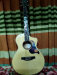 Guitar  --  Guson GF~63EFC